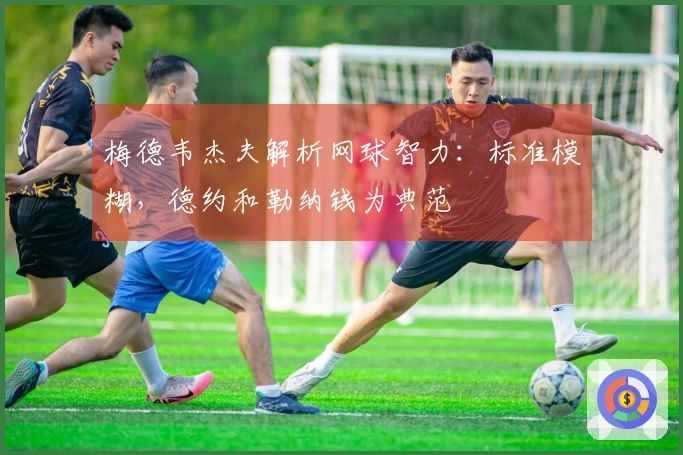 梅德韦杰夫解析网球智力：标准模糊，德约和勒纳钱为典范